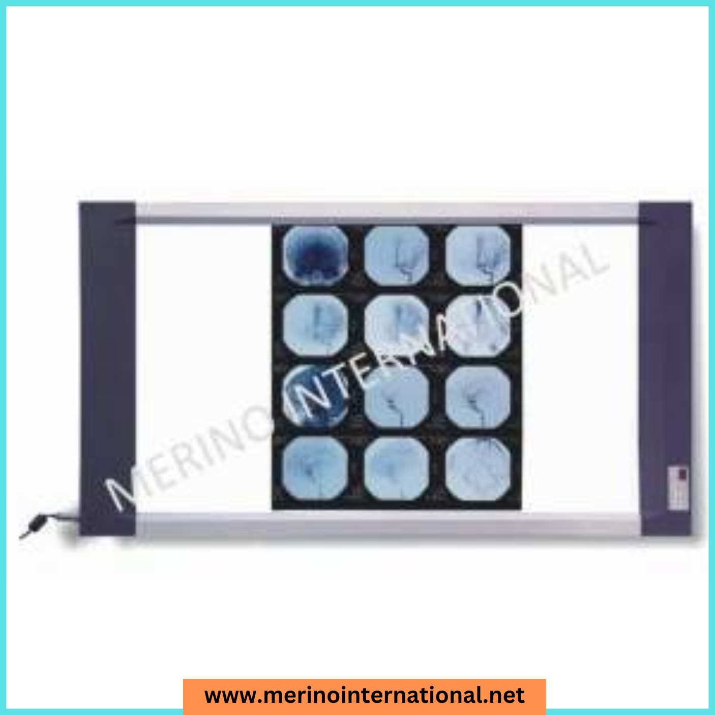 Highend Version LED XRAY View Box